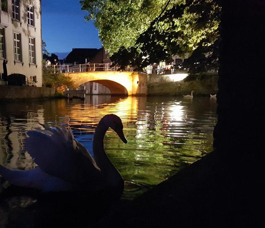 Verdi Bruges